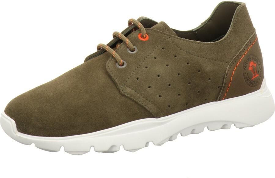 Panama Jack heren sneakers groen