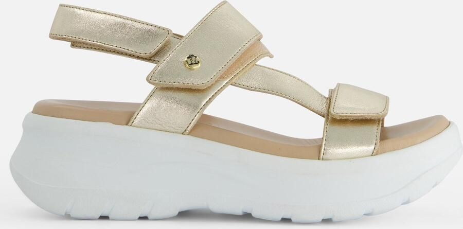 Panama Jack Plateausandalen Noor Shine Zomerschoen klittenbandschoen sandalette met lichte loopzool - Foto 3