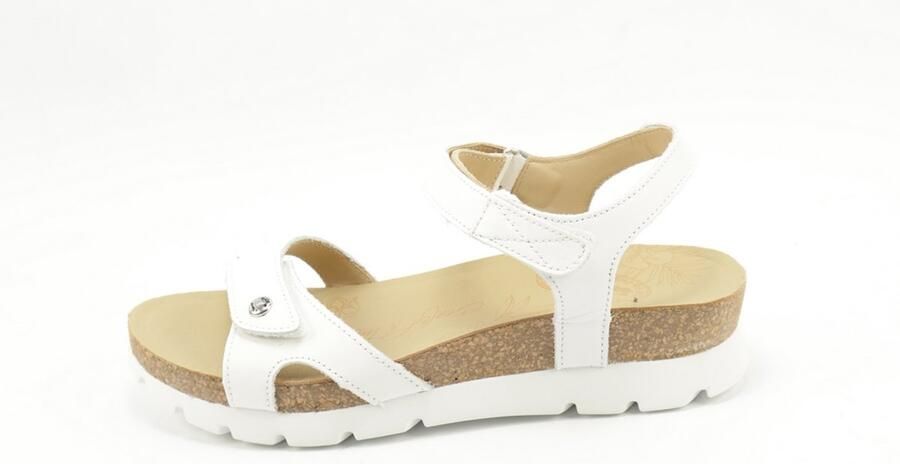 Panama Jack Sulia Basics B1 Napa WIT