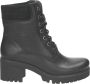 Panama Jack PHOEBE~B17~~~~~~~~~~~~~~~~~~~~ Hoge sneakersVeterlaarzenDames veterschoenenDames sneakersHalf-hoge schoenen Zwart - Thumbnail 1