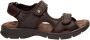 Panama Jack Platte Sandalen met Plakband Brown Heren - Thumbnail 1