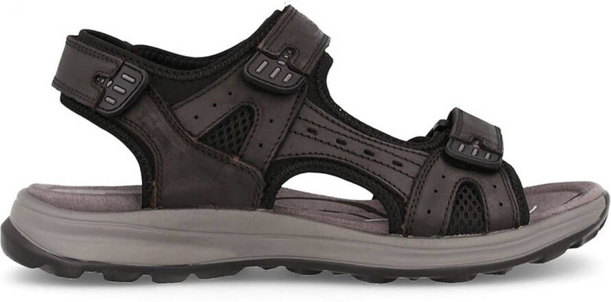 Paredes Adelan Sandalen Zwart Man