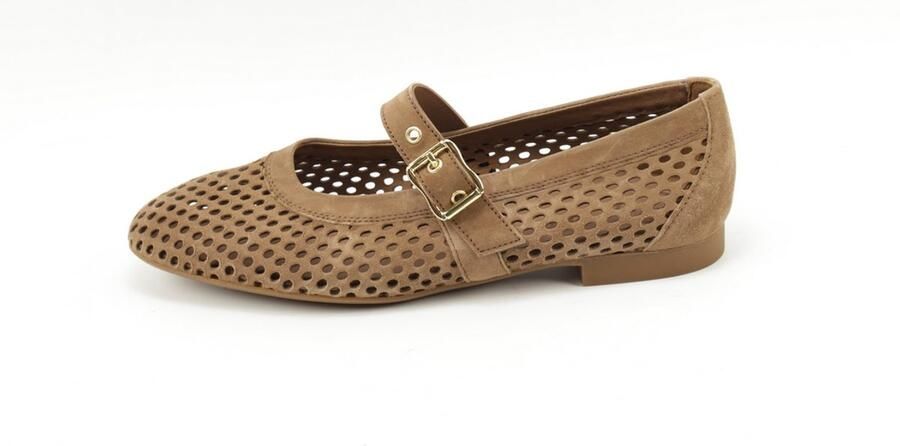 Paul Green 1213-029 bruin