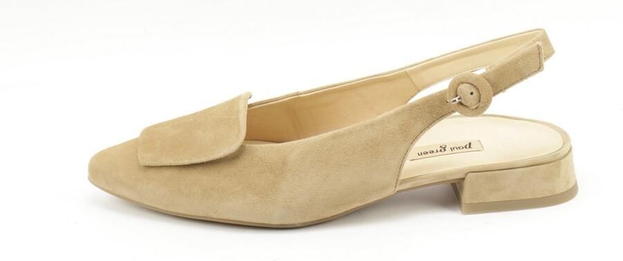 Paul Green 6090