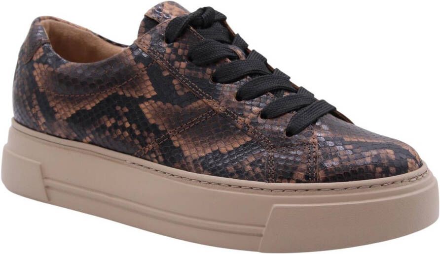 Paul Green Cleo Sneaker Brown Dames