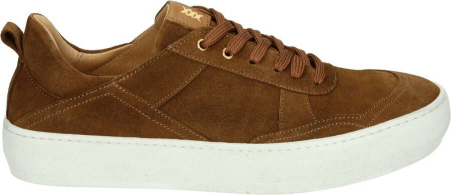 Paulo Bellini PB005~~~~~~~~~~~~~~~~~~~~~~~~~ Lage sneakersVrije tijdsschoenenHeren sneakers Cognac