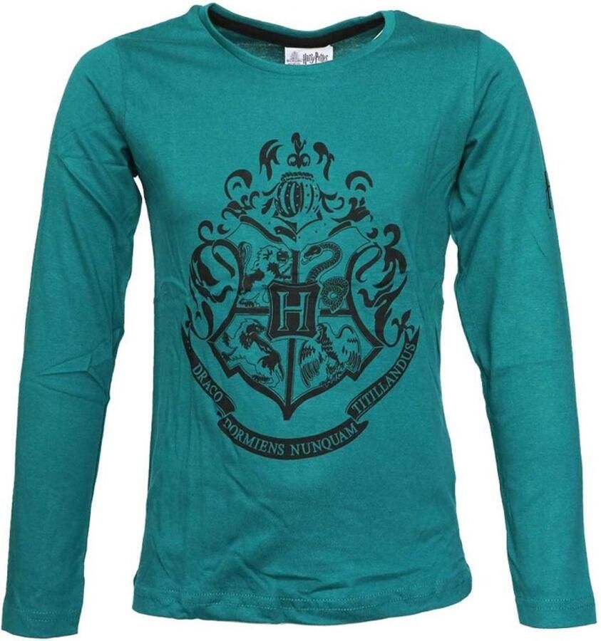 PAW Patrol kids-slippers