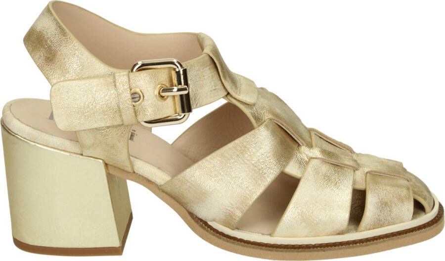 Pertini 251W32943D5 LIENZO Sandalen met hak Metallics