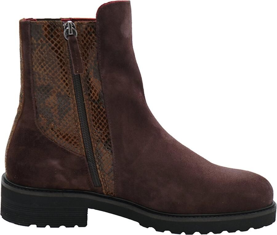 Piedi Nudi Dames Enkellaars Pn-haudi-0403 H Donkerbruin