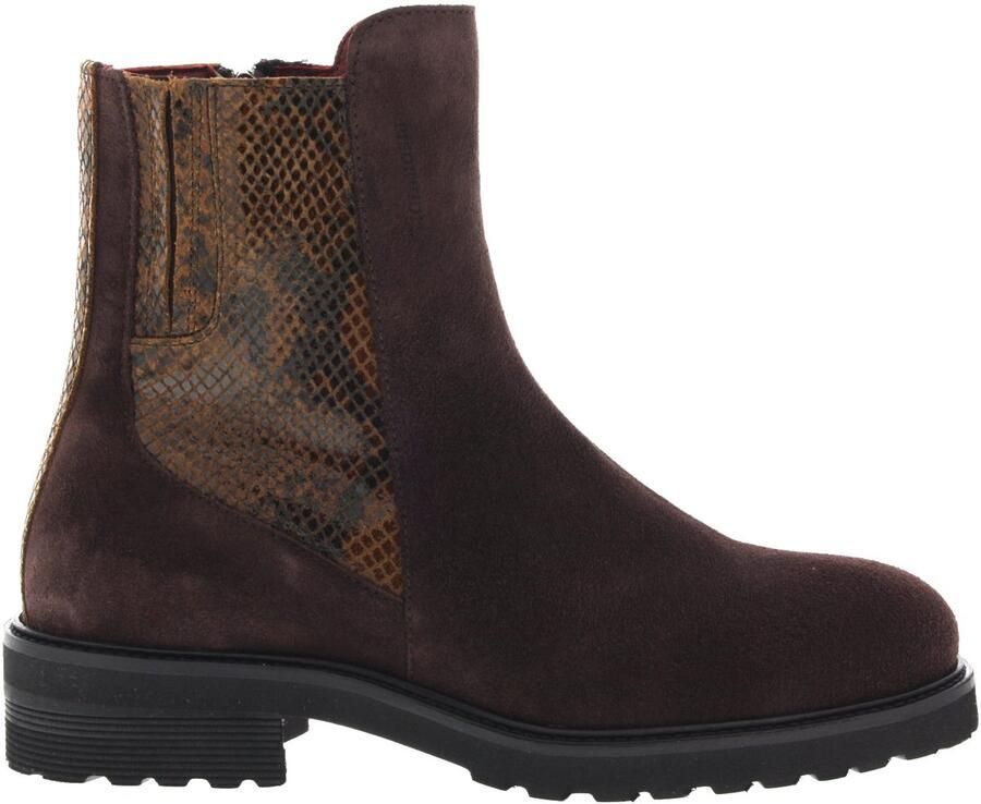 Piedi Nudi Dames Enkellaars Pn-haudi-0403 H Donkerbruin