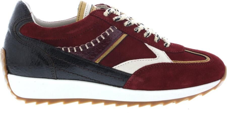 Piedi Nudi Dames Sneakers Harlem Bordeaux