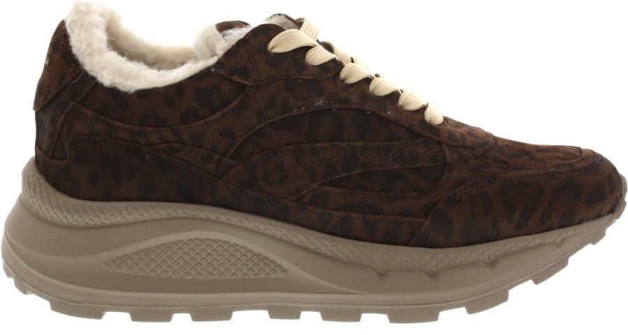 Piedi Nudi Dames Sneakers West 02.02 Leoparda Donkerbruin
