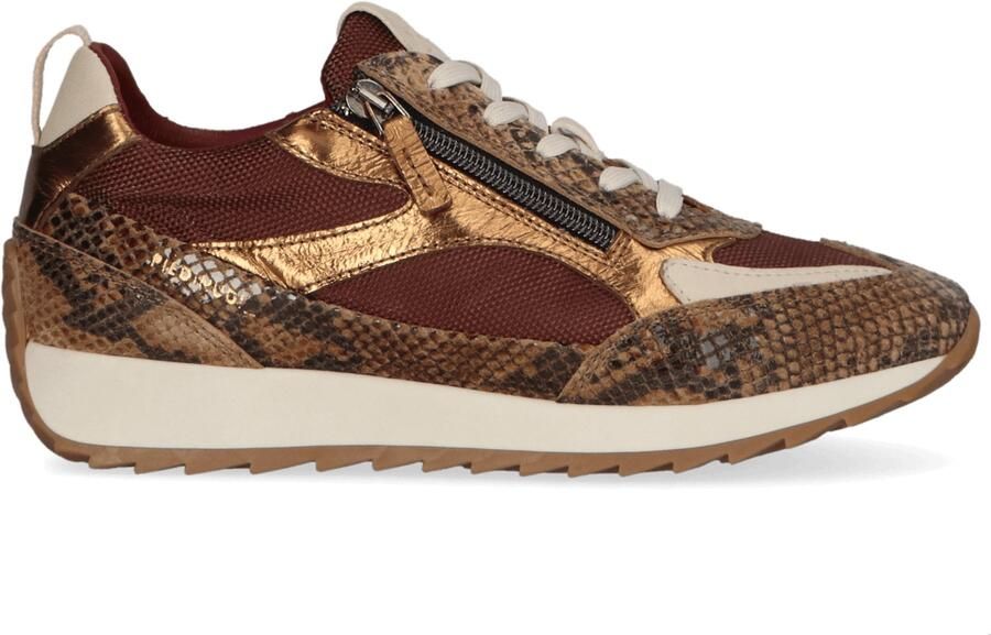 Piedi Nudi Hera leren sneakers met dierenprint bruin - Foto 4