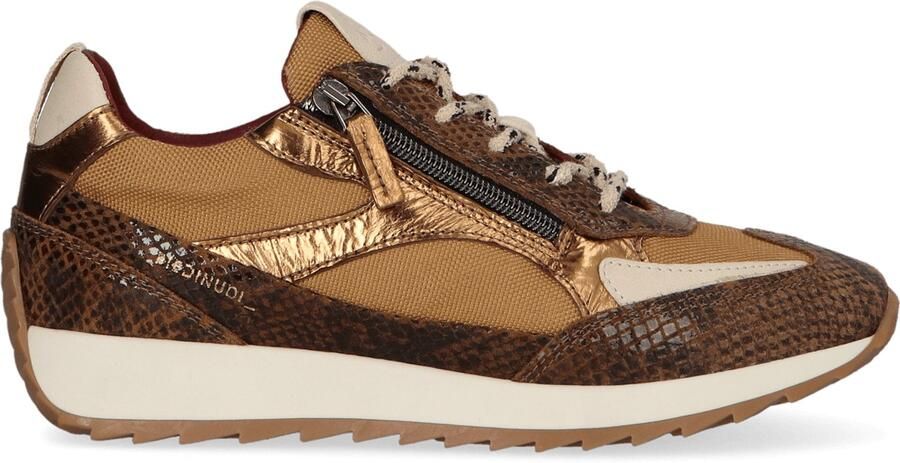 Piedi Nudi Hera Dames Sneakers Leer Bruin
