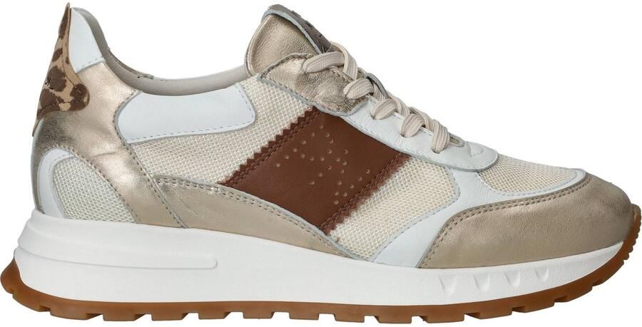 Piedi Nudi Helen 03.01 Gold Leopard Sneakers Wit Goud Leer Dames H Wit Goud - Foto 3