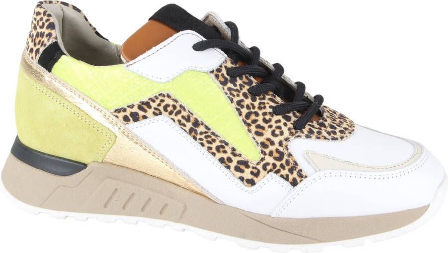 Piedi Nudi Selva 17.11 Lime leo dames sneakers wit