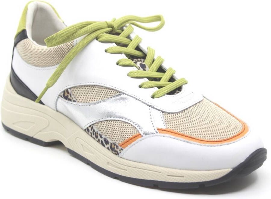 PIEDI NUDI PiediNudi Lage Sneakers Dames Zerba 02.13 Maat: 37 Materiaal: Leer