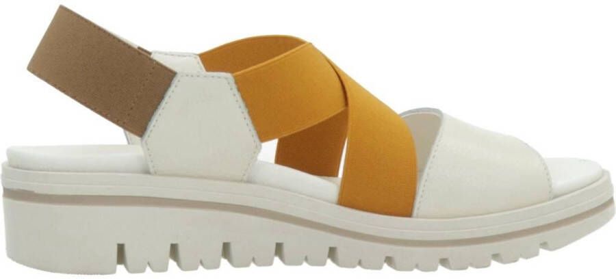 PieSanto 230787P Veelkleurig