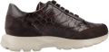 Piesanto Lage Sneakers 255762p - Bruin