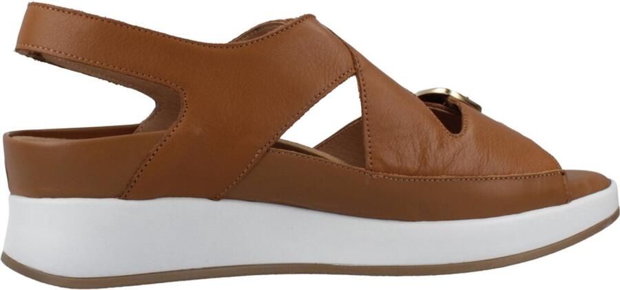 PieSanto 260426P Bruin