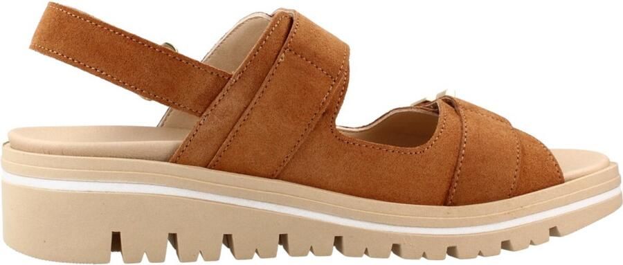 PieSanto 260793P Bruin
