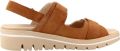 PieSanto 260793P Bruin - Bruin