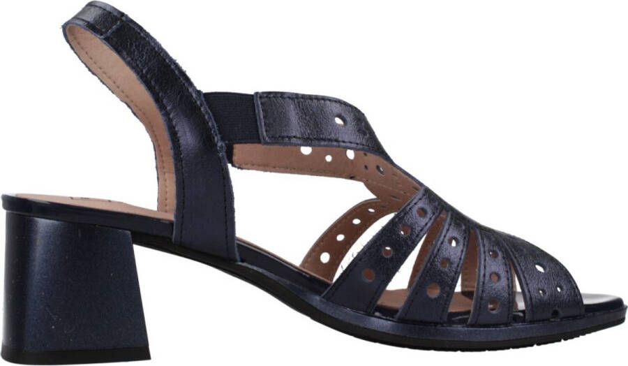 Pitillos 10530P Blauw