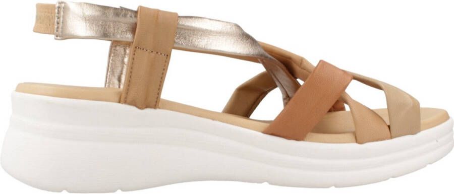 Pitillos 10611P Bruin