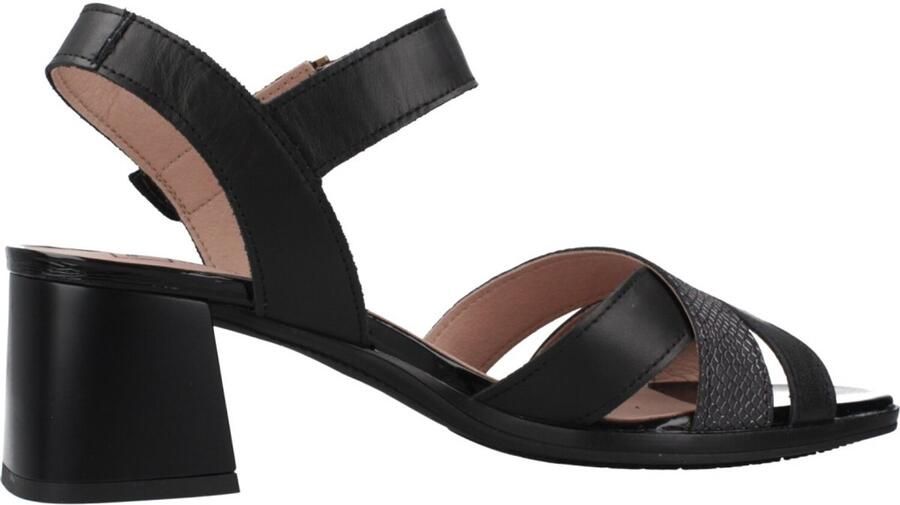 Pitillos 11214P Zwart