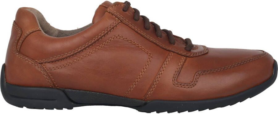 Pius Gabor 1137.11.12 heren sneaker bruin