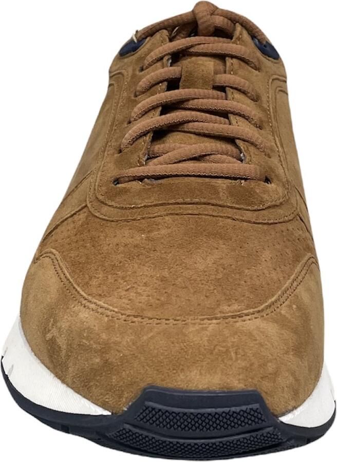 Pius Gabor 1036.10.01 Gabor Gabor Pius Gabor schoenen Gabor heren schoenen Gabor heren Heren schoen Comfort Schoen Sneakers Cognac sneakers Cognac schoenen - Foto 2