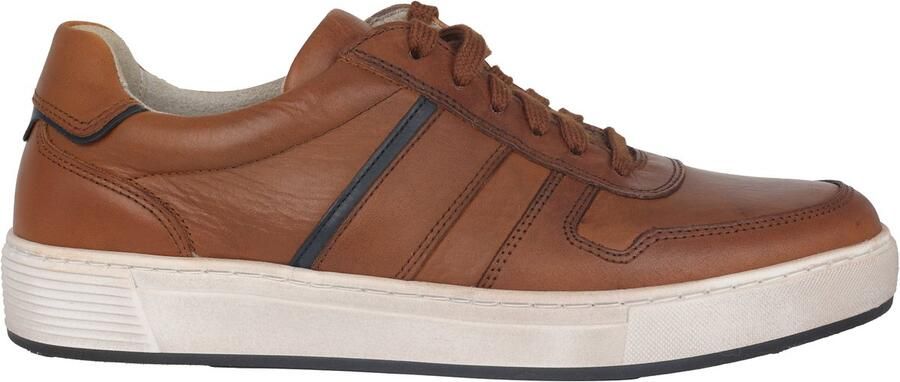 Pius Gabor 1040.13.01 heren sneaker Bruin