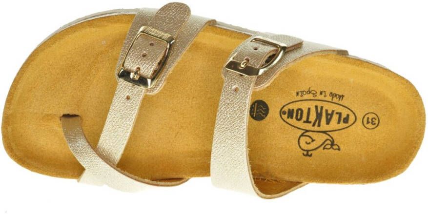 Plakton Lederen Meisjes Teenslipper In Goud