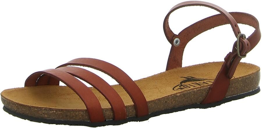 Plakton 575080 CUERO dames sandalen bruin
