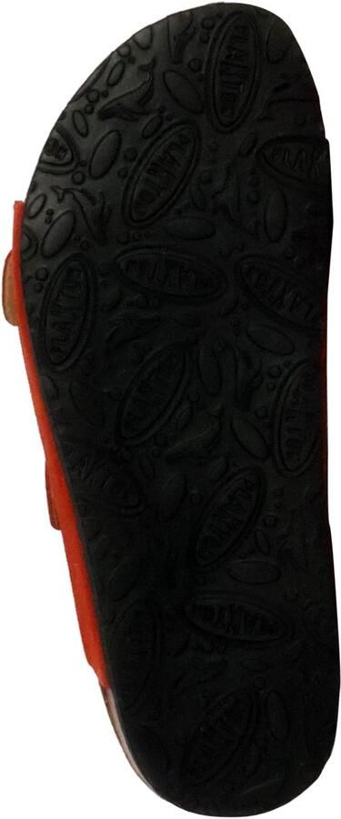 Plakton Beta leren muiltjes