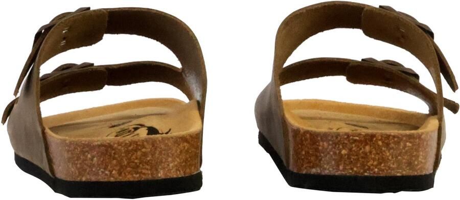 Plakton Beta leren muiltjes