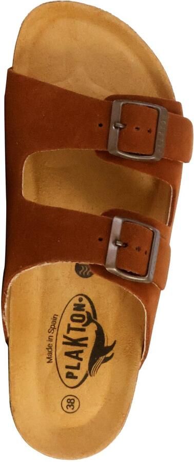 Plakton Beta leren muiltjes