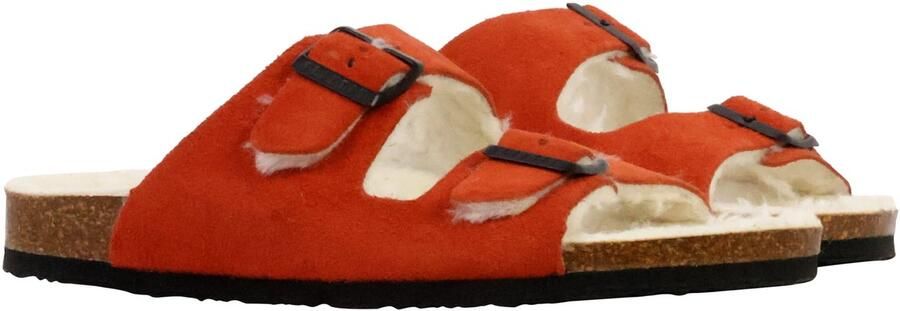 Plakton Beta leren muiltjes