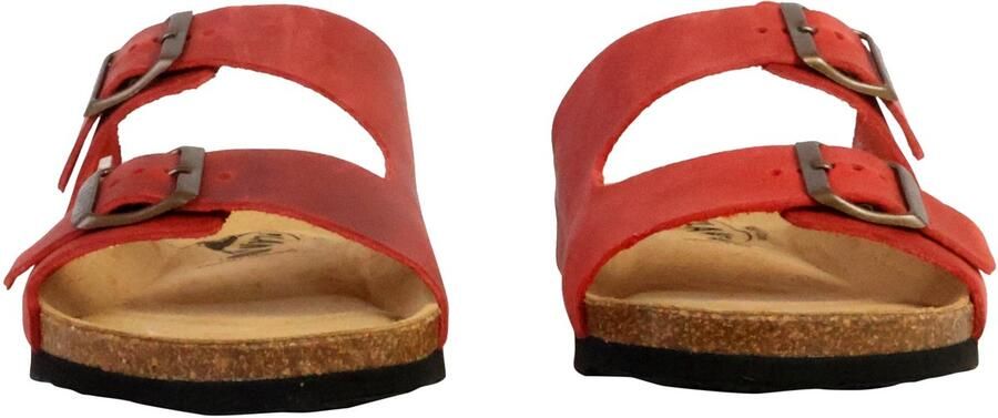 Plakton Beta leren muiltjes