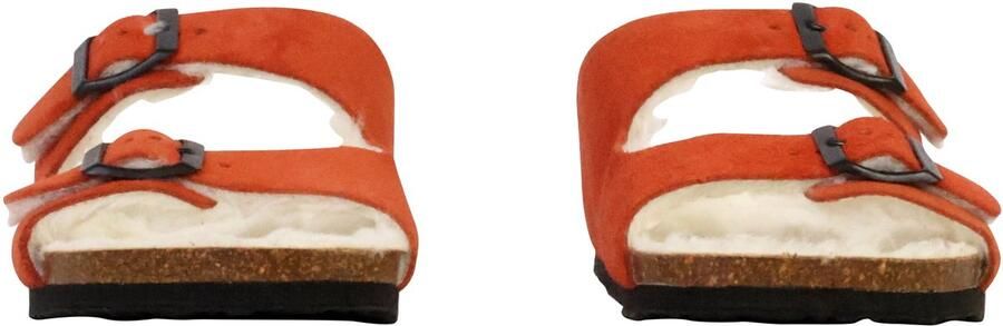 Plakton Beta leren muiltjes