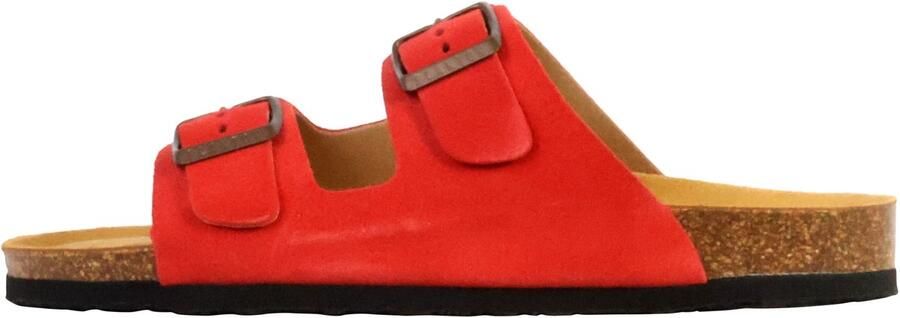 Plakton Beta leren muiltjes