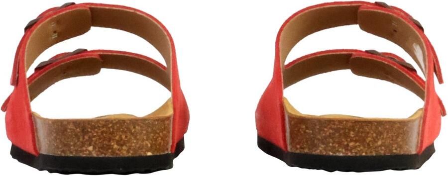 Plakton Beta leren muiltjes