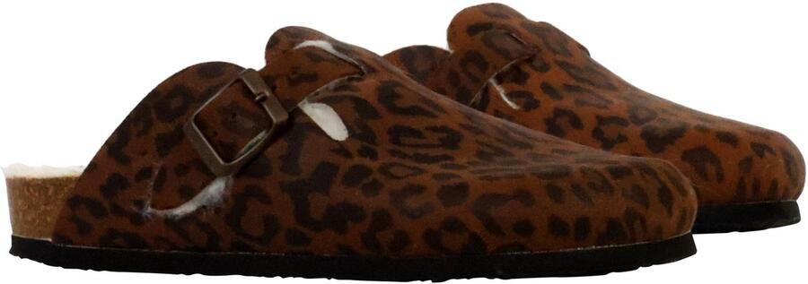 Plakton Blogg leren muiltjes