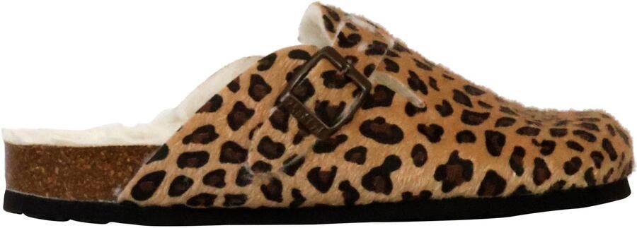 Plakton Blogg leren muiltjes