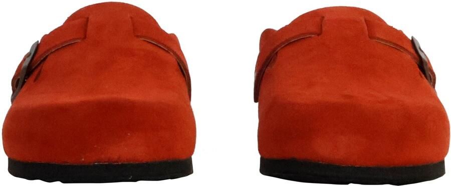 Plakton Blogg leren muiltjes