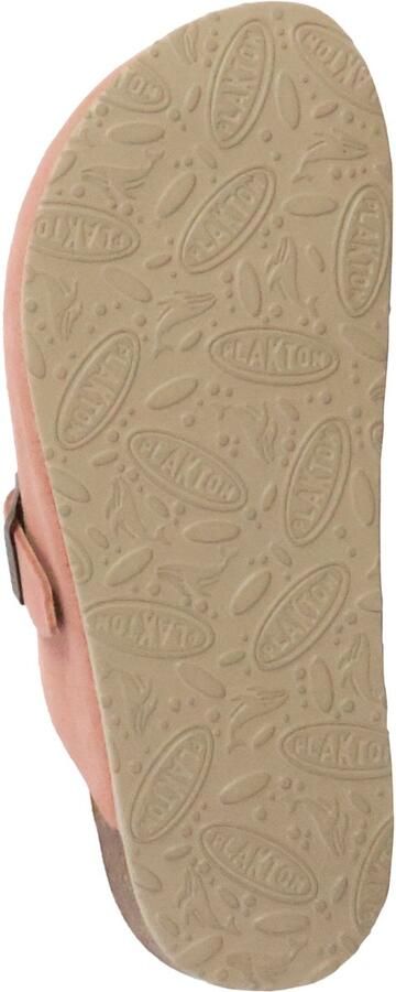 Plakton Blogg leren muiltjes