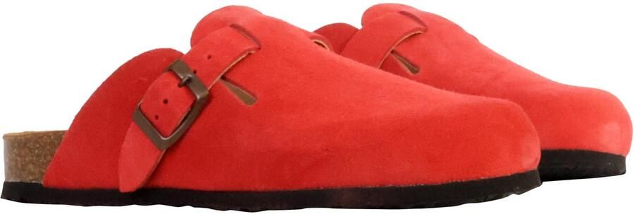 Plakton Blogg leren muiltjes