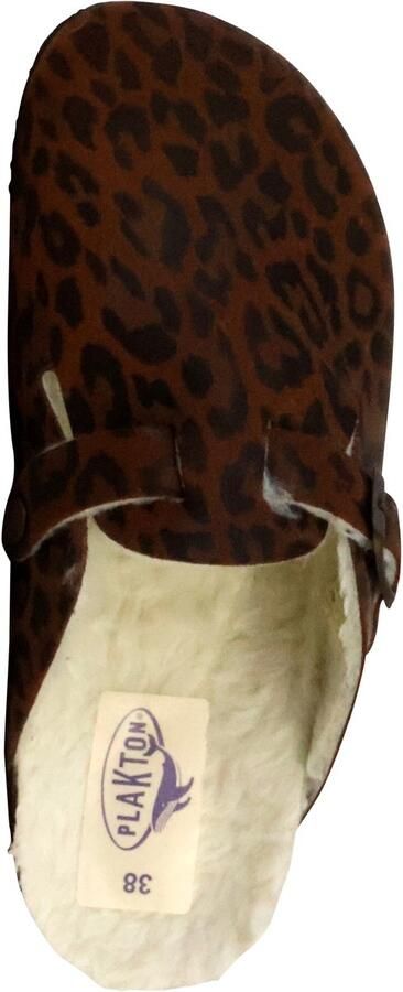 Plakton Blogg leren muiltjes