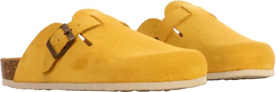 Plakton Blogg leren muiltjes