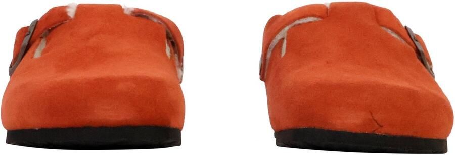 Plakton Blogg leren muiltjes